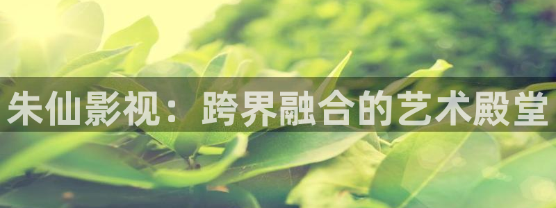 真不卡影院网站