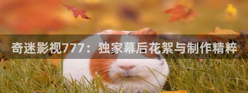 神马影院不卡影院